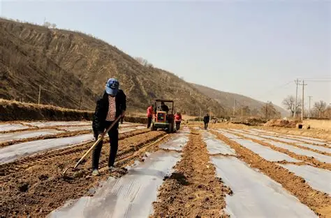 勤劳根本就发不了财，如果勤劳能致富，那么世界上最有钱的应该是头驴。-王叔叔强势文化信息传播平台