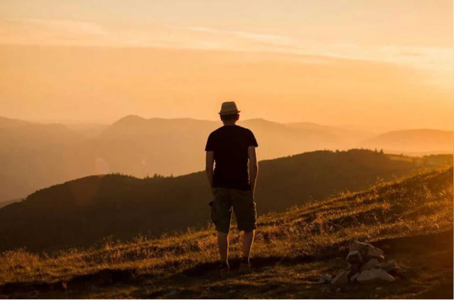 生活中总有一些看似矛盾却普遍存在的现象，细细琢磨便会发现其中藏着成年人世界的生存逻辑。